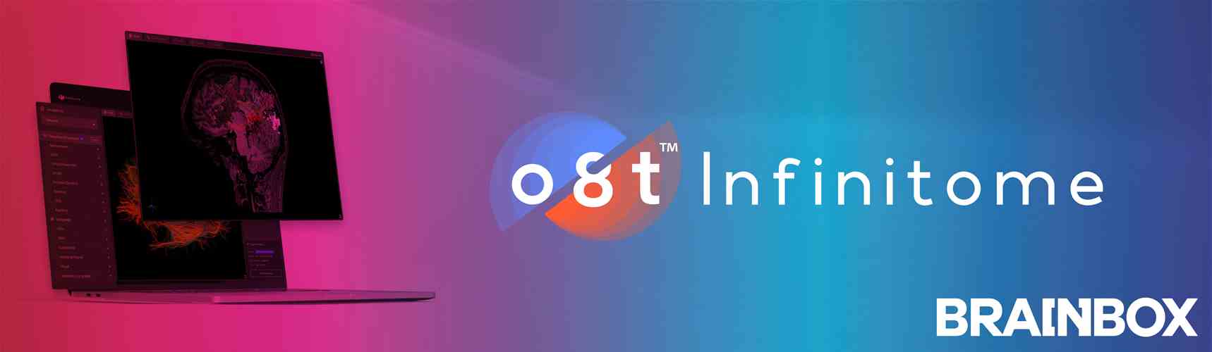 Using Modern Neuroanatomy to Define NIBS targets Brainbox